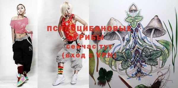 скорость Алексин