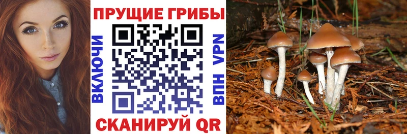 Галлюциногенные грибы Cubensis  даркнет сайт  Усть-Кут 
